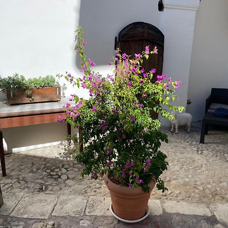 Piazzetta Del Forno Appartamento 아세르기 외부 사진